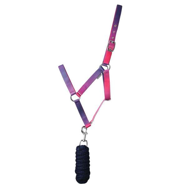 Hy Equestrian Ombre Head Collar & Lead Rope