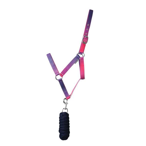 Hy Equestrian Ombre Head Collar & Lead Rope