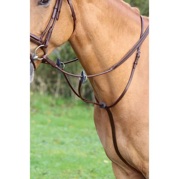 Shires Velociti Gara Running Martingale Havana