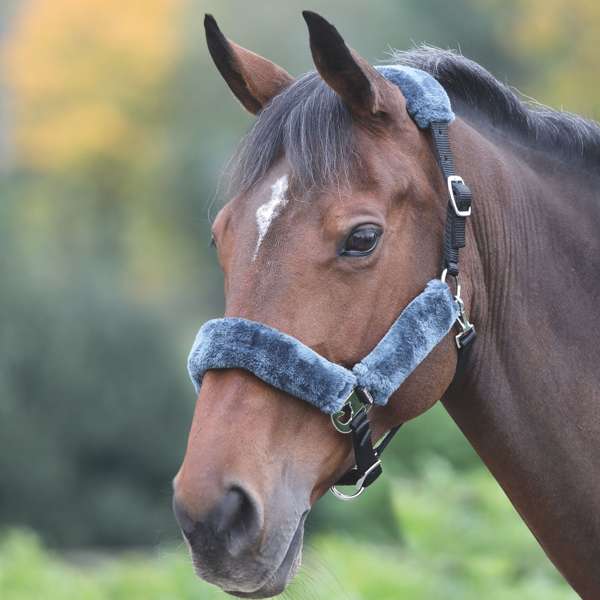 Shires Fleece Lined Headcollar