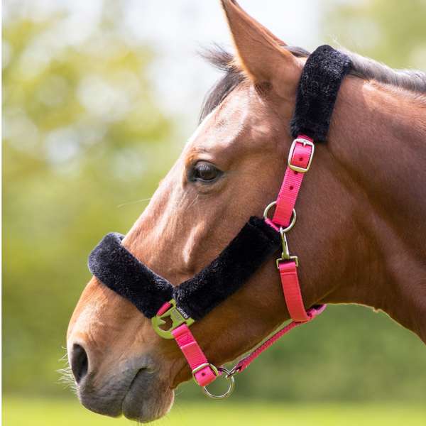 Shires Fleece Lined Headcollar