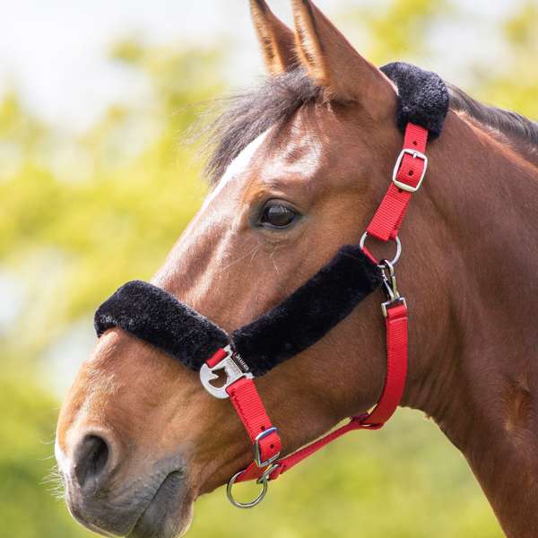 Shires Fleece Lined Headcollar