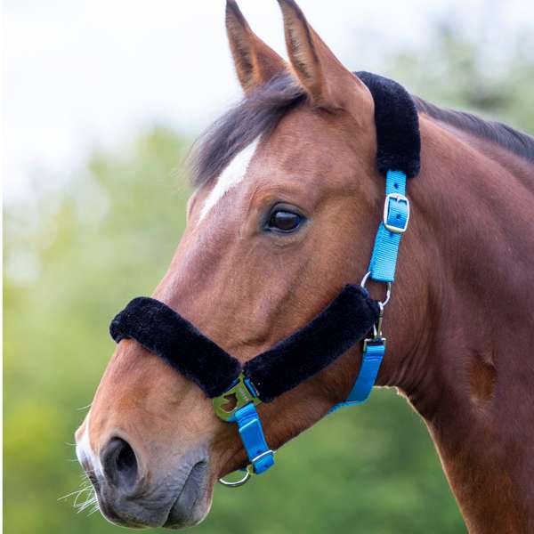 Shires Fleece Lined Headcollar