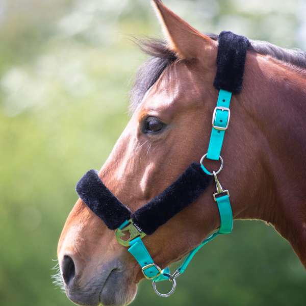 Shires Fleece Lined Headcollar