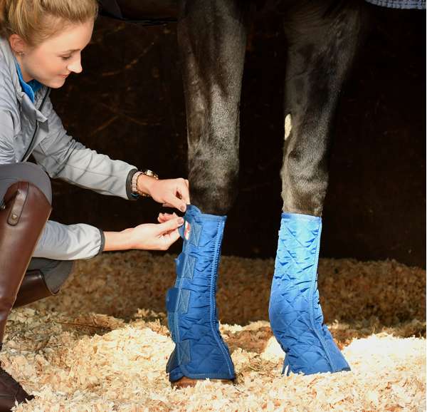 Equilibrium Equi-Chaps Stable Chaps Blue