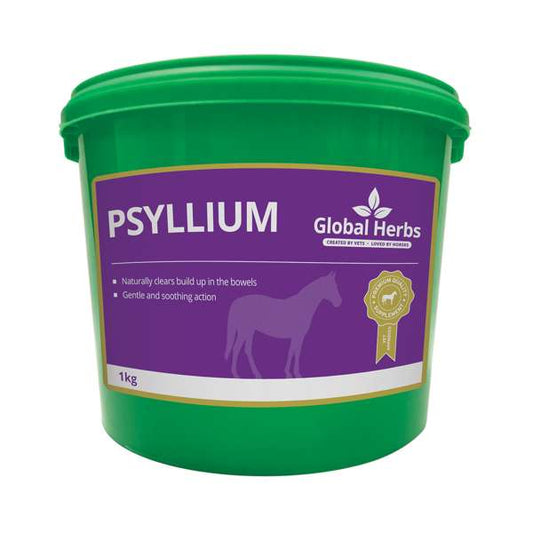 Global Herbs Psyllium 1kg