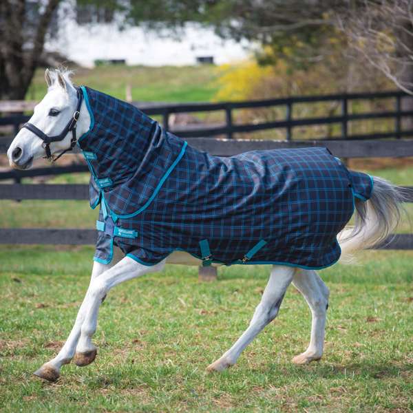 Horseware Amigo Pony Plus 50G Black Check/Teal/Silver