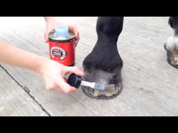 Carr & Day & Martin Cornucrescine Daily Hoof Barrier 500ml