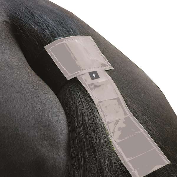 Hy Equestrian Silva Flash Reflective Tail Band