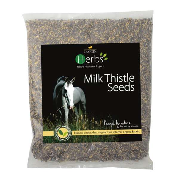 Lincoln Herbs Milk Thistle Seeds 1kg