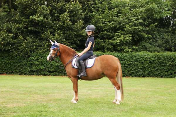 Dazzling Dream Saddle Pad By Little Rider Navy/Pastel