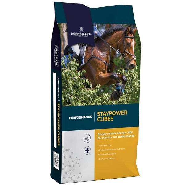 Dodson & Horrell Staypower Cubes 20kg