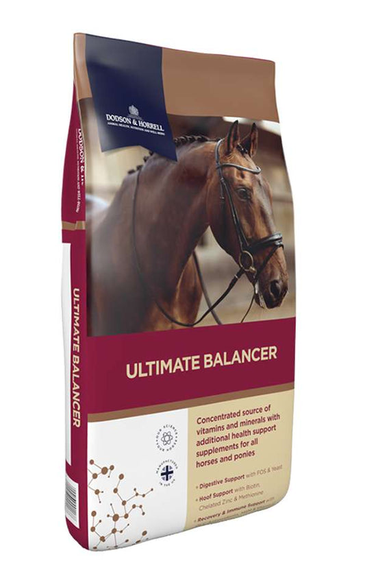 Dodson & Horrell Ultimate Balancer 20kg