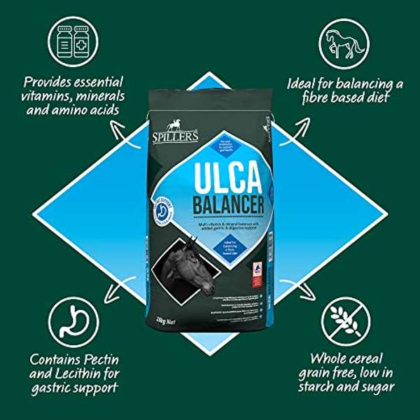 Spillers Ulca Balancer 15kg