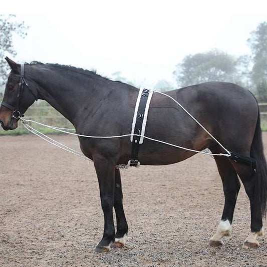 Shires Lunging Aid Black