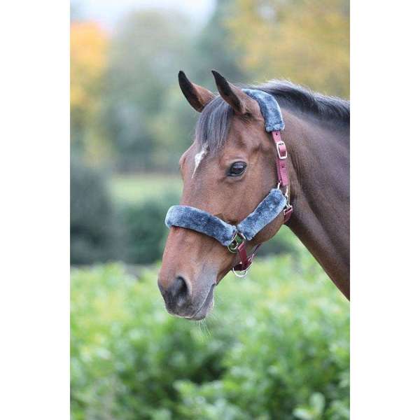Shires Fleece Lined Headcollar