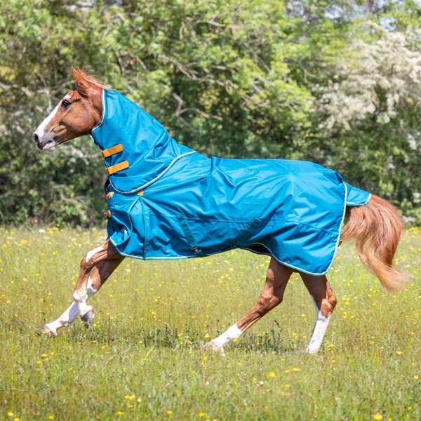 Shires Highlander Original Lite Turnout Rug & Neck Set Teal
