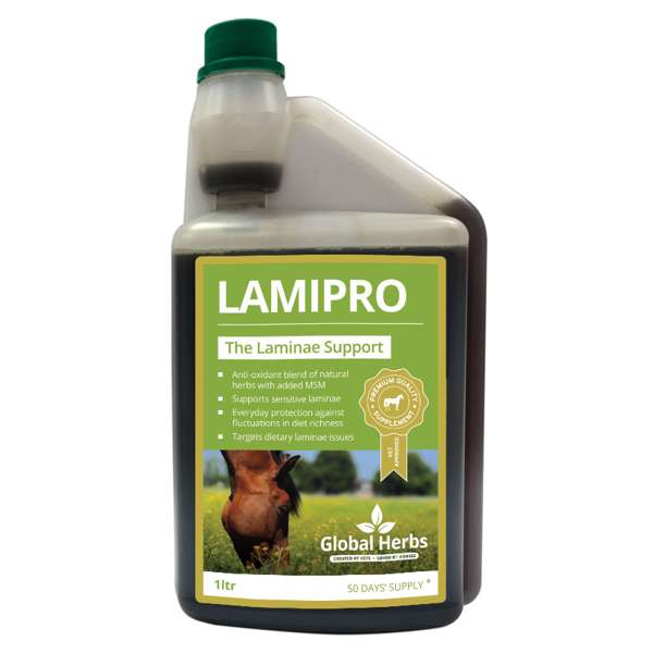 Global Herbs Lamipro Liquid