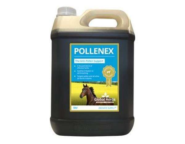Global Herbs Pollenex Liquid
