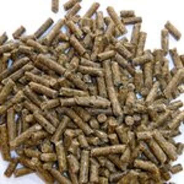 Thunderbrook Organic Meadow Nuts 20kg - Free P&P