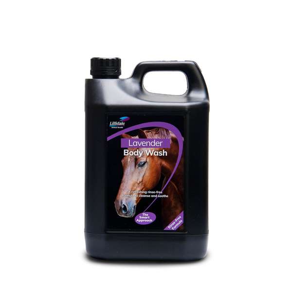 Lillidale Body Wash Rinse Free