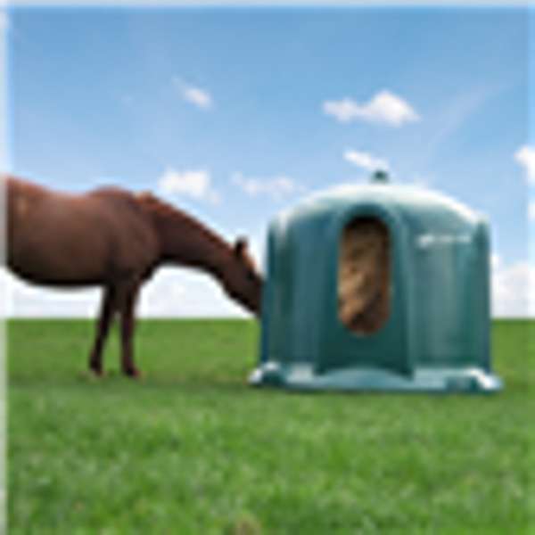JFC Horse Haybell 21 >28 days Free Delivery