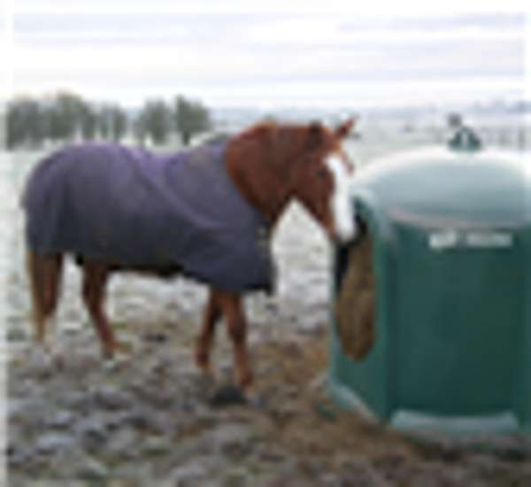 JFC Horse Haybell 21 >28 days Free Delivery