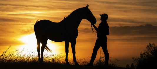 A Visit From A Horse Whisperer