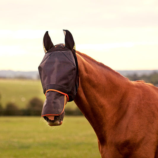 UV in Horse Fly Masks: What You Need to Know