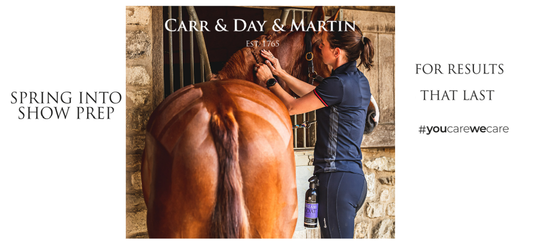 Summer Essentials Blog - Carr & Day & Martin