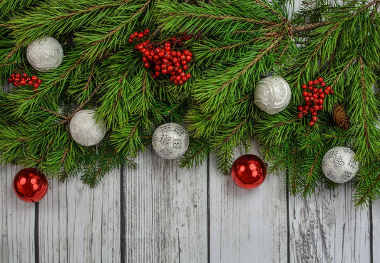 What To Buy Your Horse For Christmas?