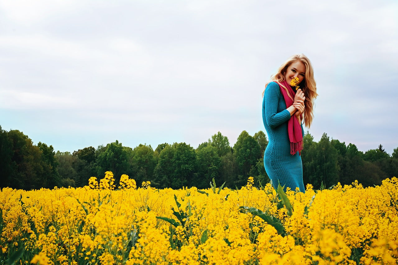 Beneficial Plants & Herbs For Horses