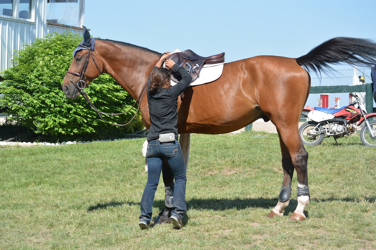 Why Sharing A Horse Could Prove Problematic