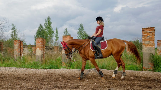 You Never Know What Could Happen On A Hack