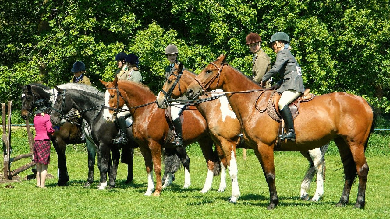 How Perfect Is Your Equestrian Life
