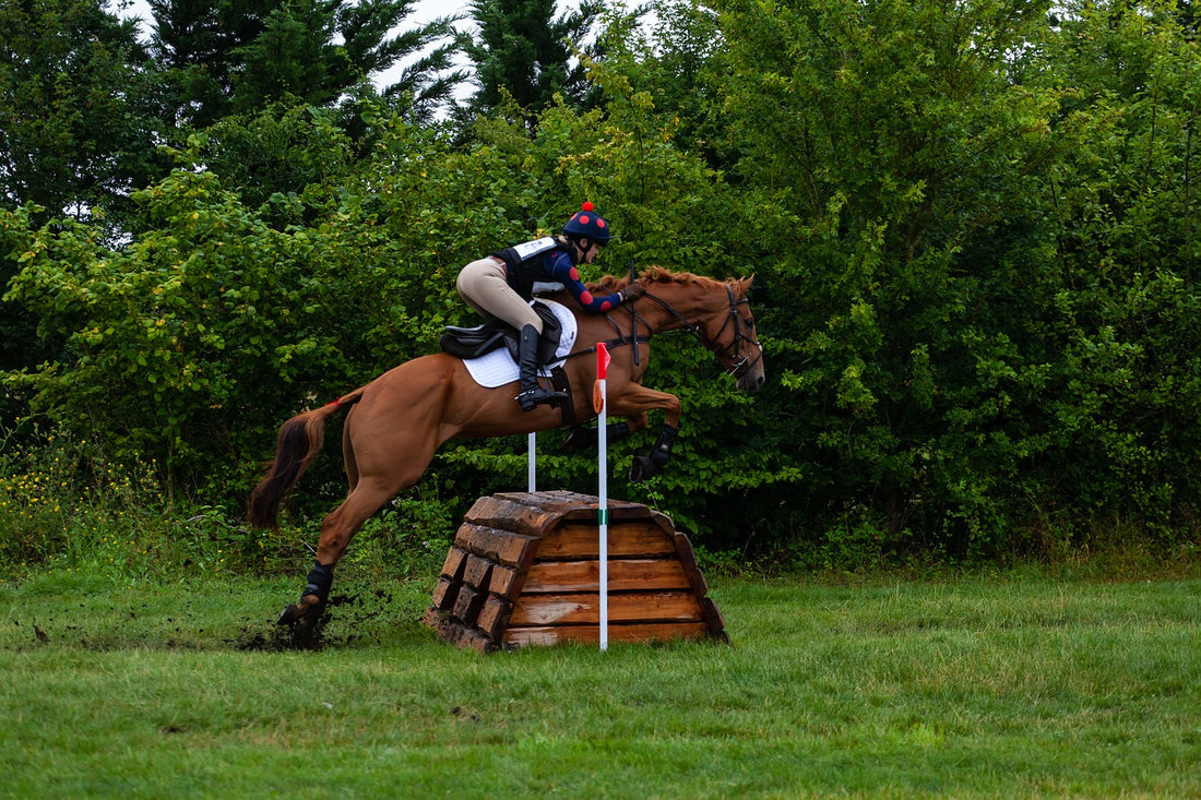 Horse Jumping: A Guide To Show Jumping Fences