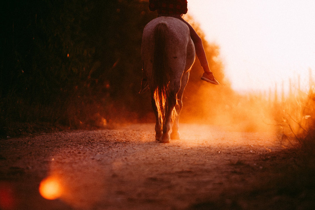 Can You Ride After A Hip Replacement