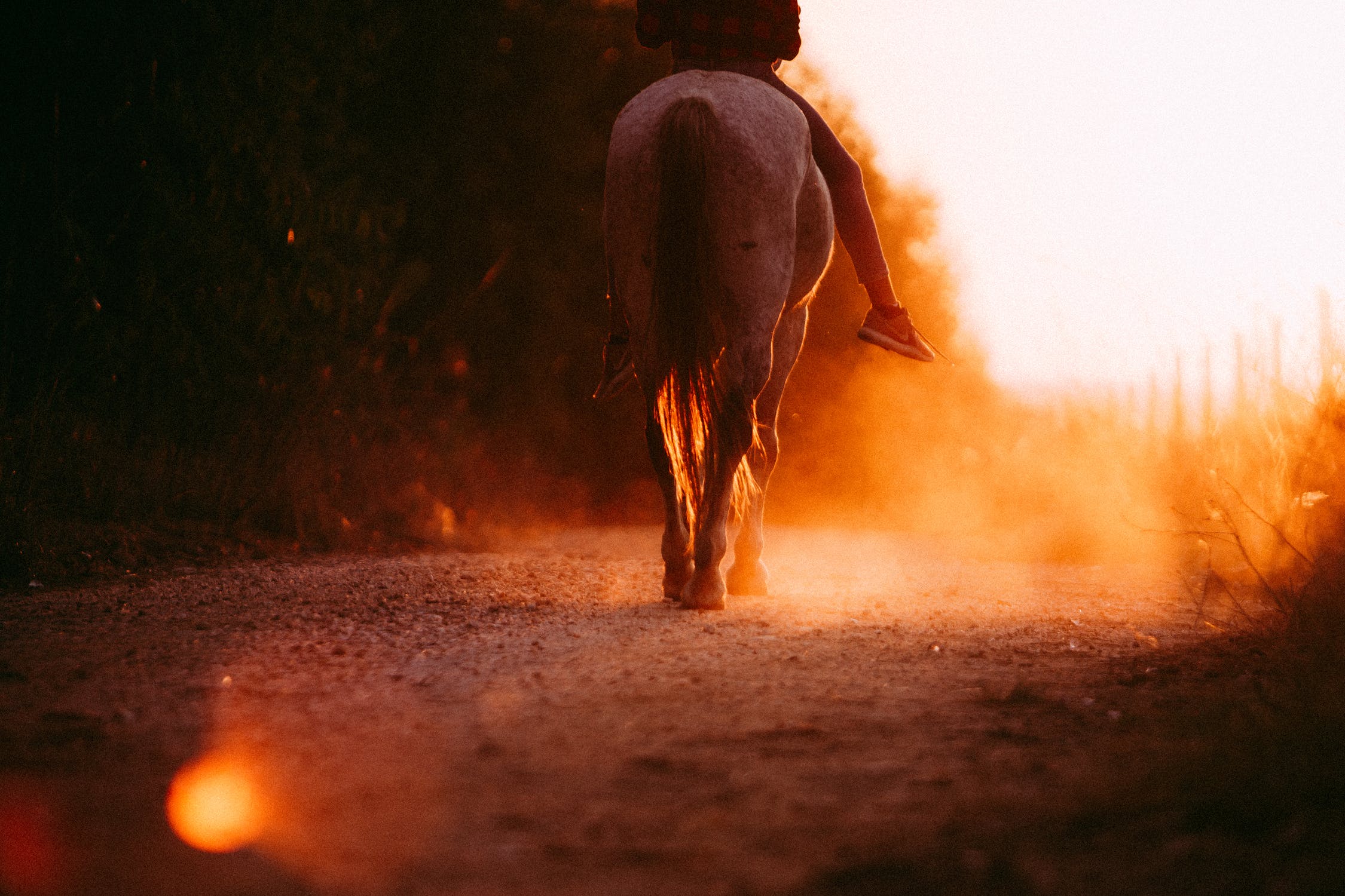 Can You Ride After A Hip Replacement