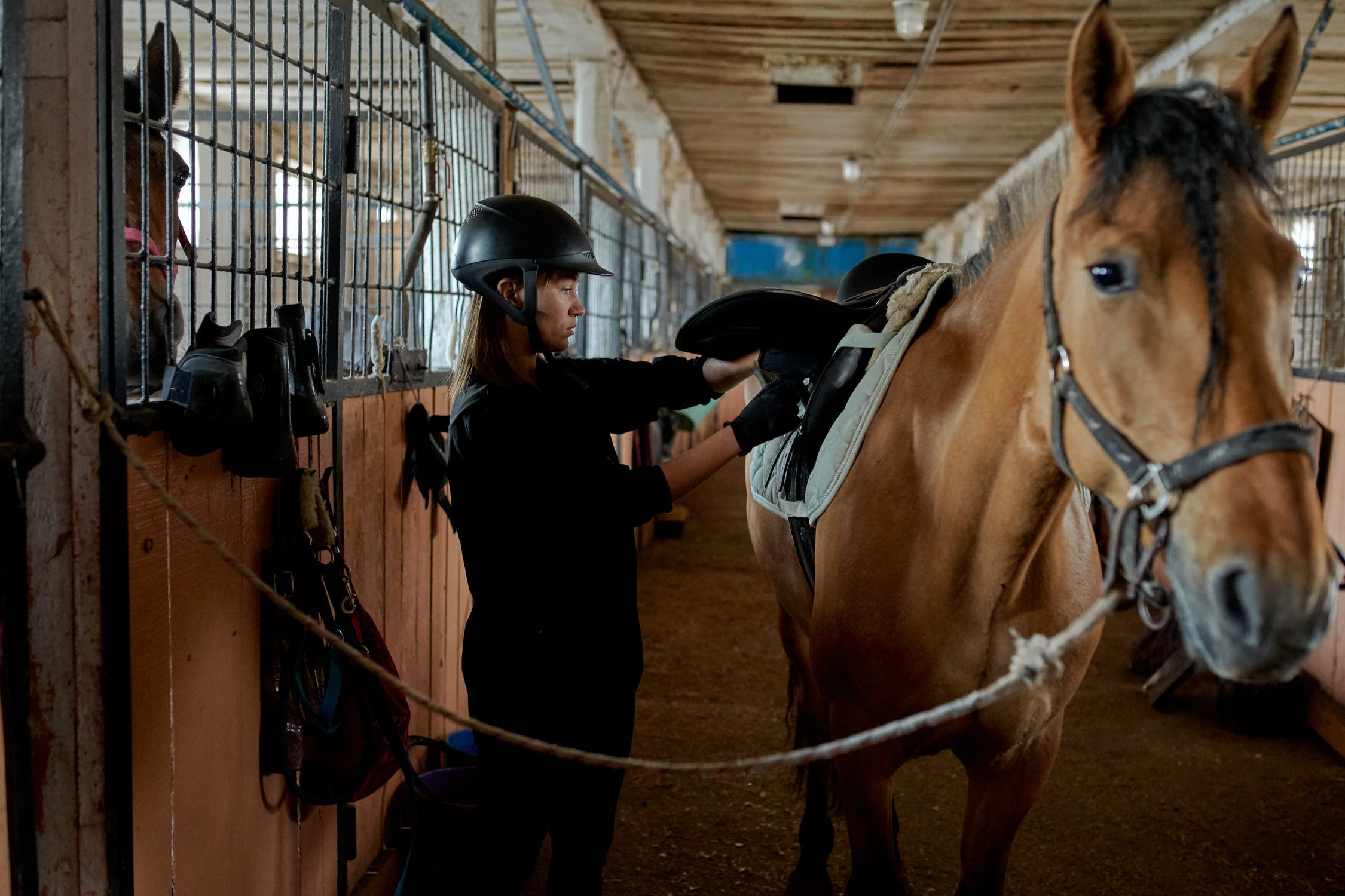 Equine Pre Ride Inspection Important Pre Ride Checks | Equi Supermarket