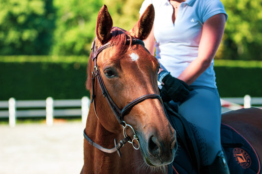Warm Up Stretches Exercises For Horse Riders