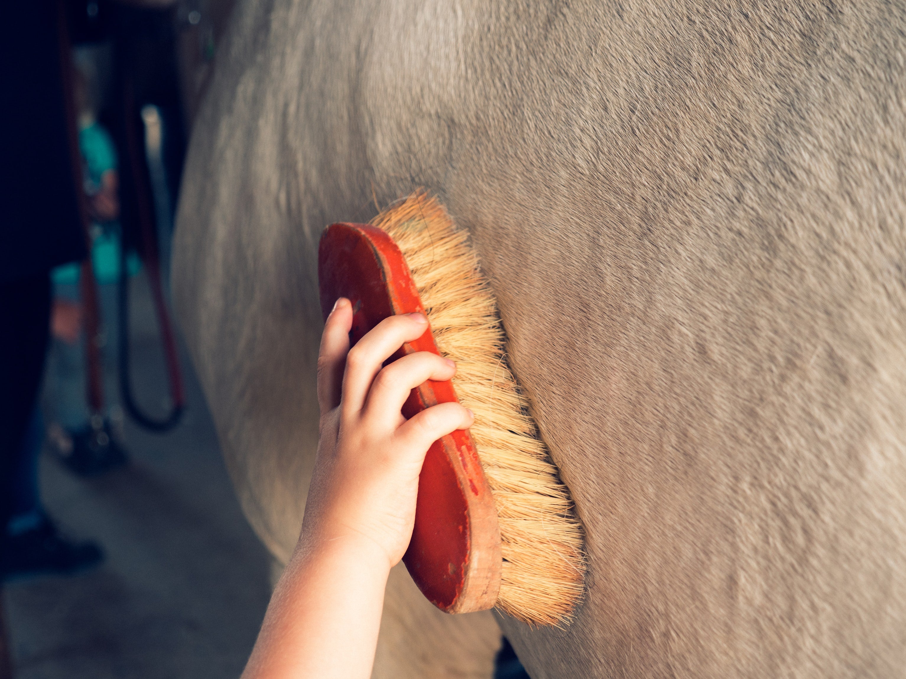 Top Tips For Dealing With Shedding
