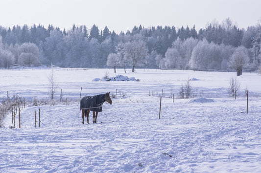 Tips For Horse Riding In Cold Weather