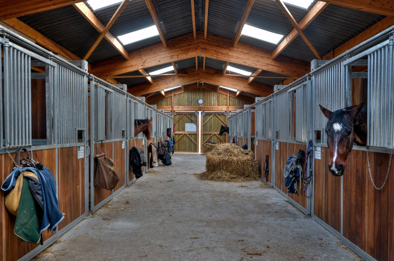 How To Create The Perfect Paddock | Equi Supermarket