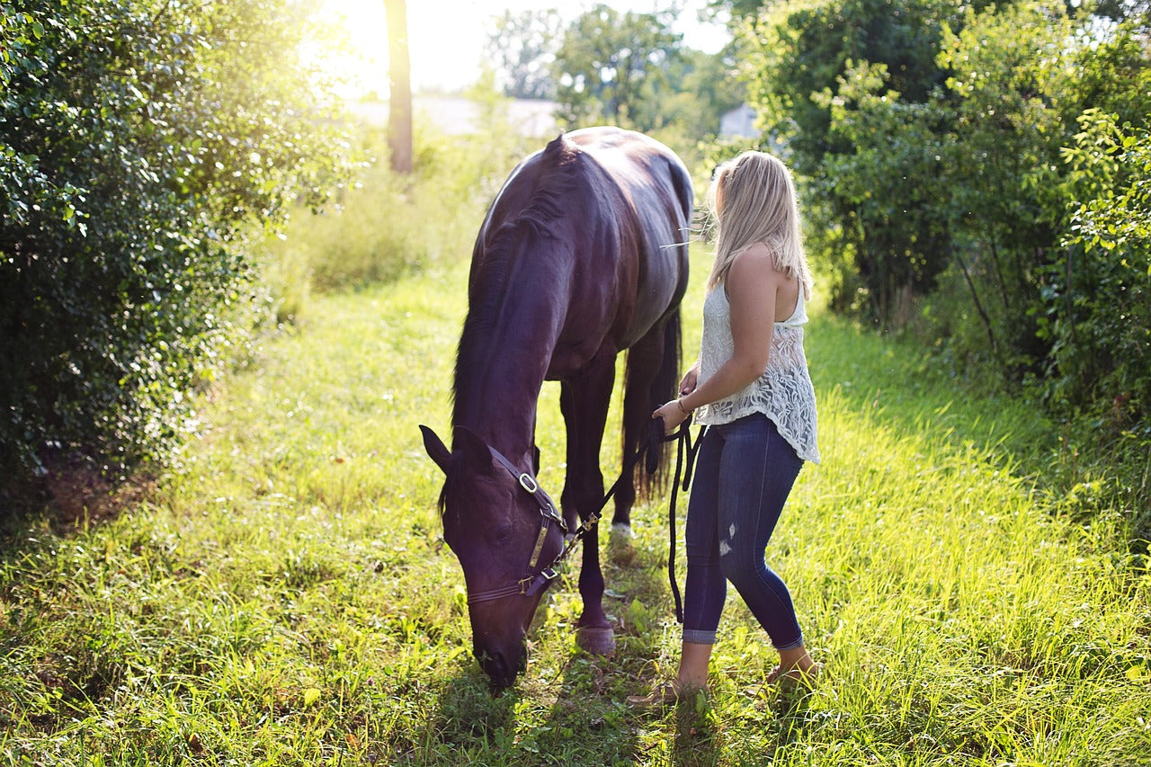 Owning your First Horse