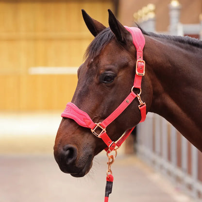 Shires ARMA Comfy Fleece Headcollar & Leadrope