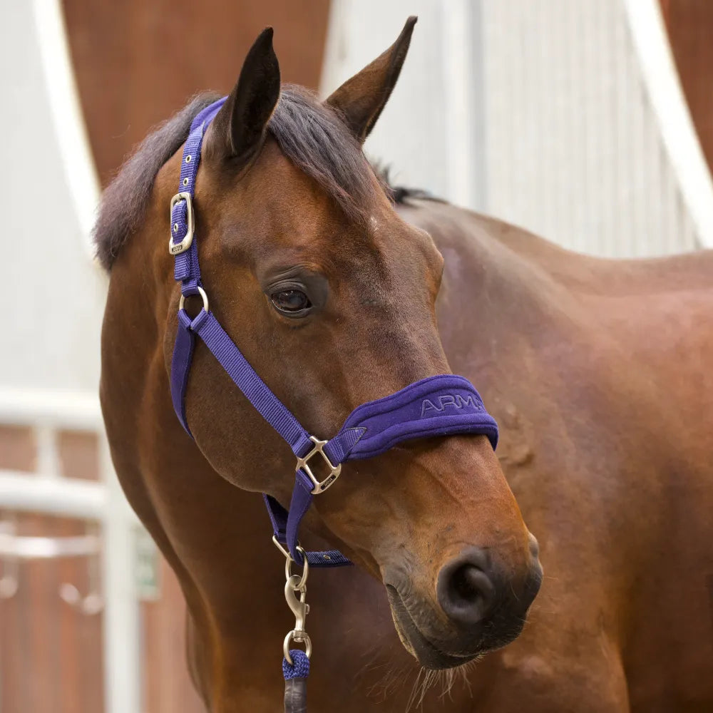 Shires ARMA Comfy Fleece Headcollar & Leadrope