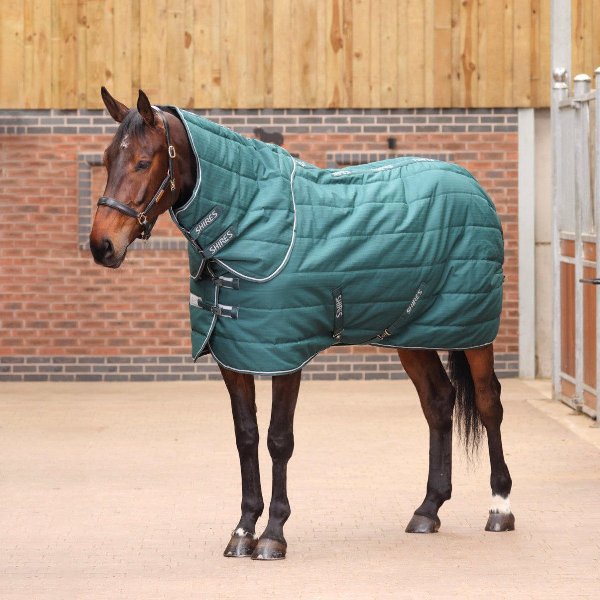 Shires Tempest Original 200g Stable Rug & Neck Set Emerald Green