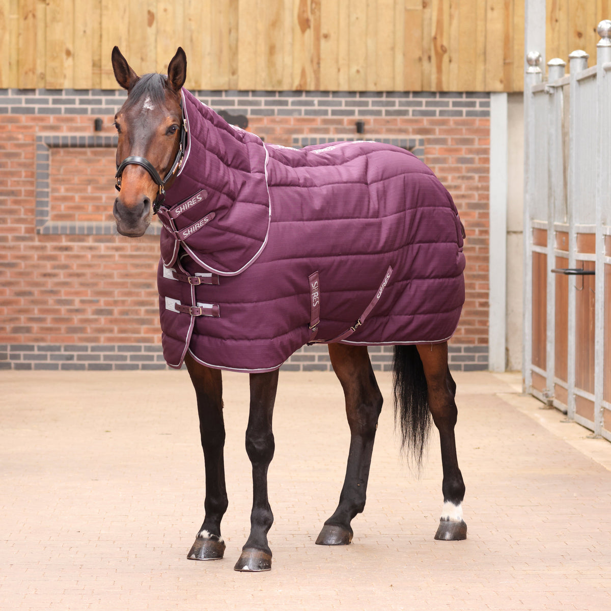 Shires Tempest Original 300g Stable Rug & Neck Set Burgundy