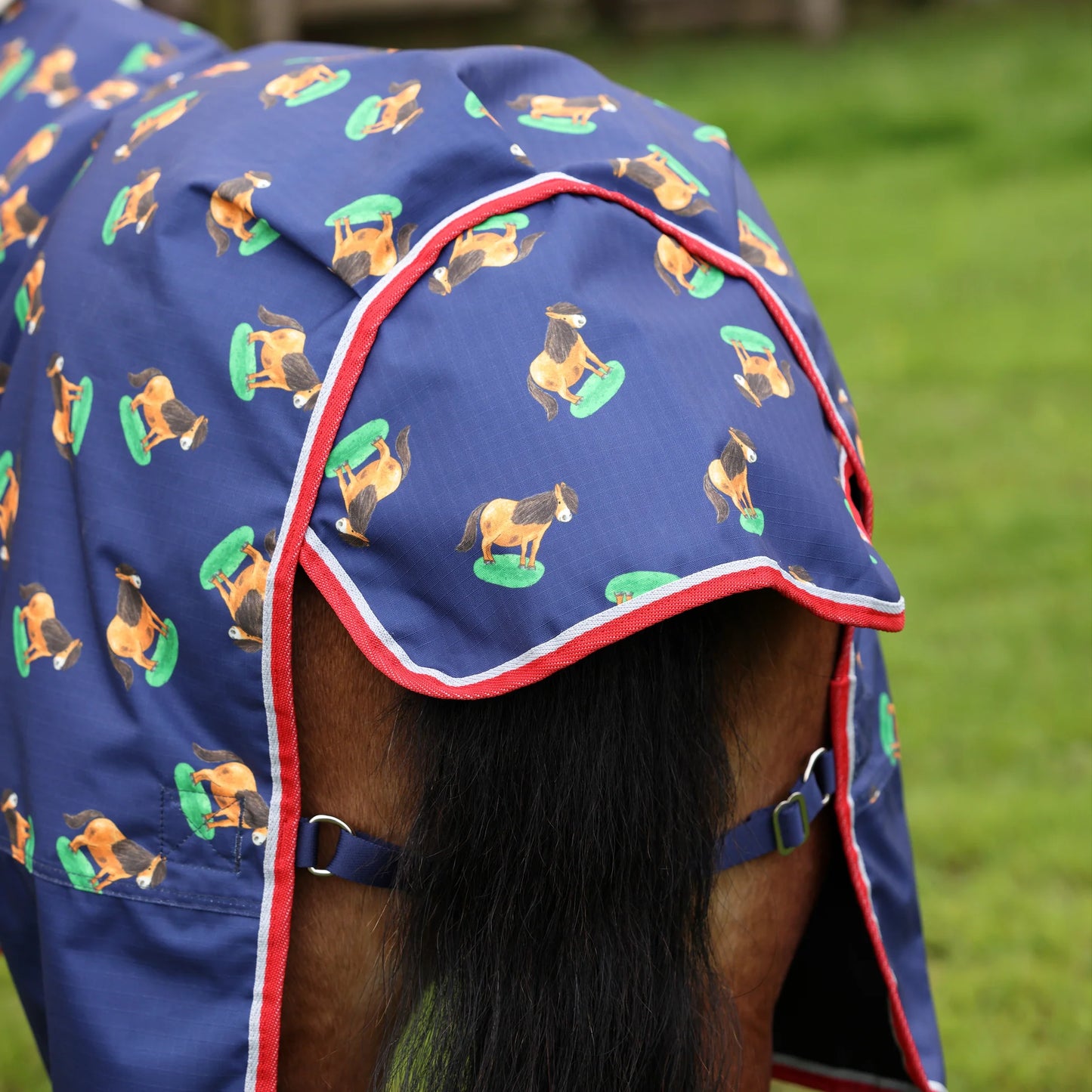 Shires Winnie & Me Lite 0g Turnout Rug