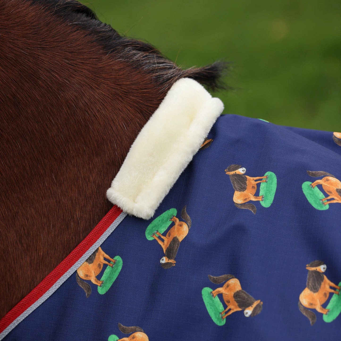 Shires Winnie & Me Lite 0g Turnout Rug